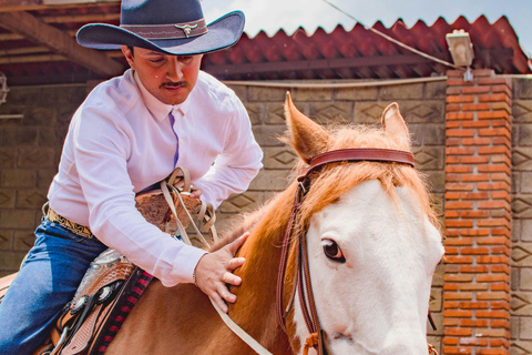 Jose Ignacio: Unforgettable Coastal Horseback at the Beach