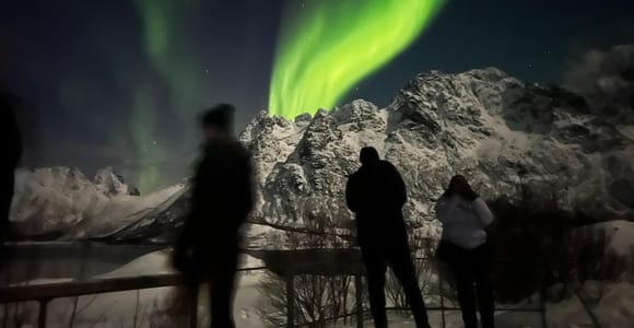 Lofoten: Small-Group Northern Lights Hunt by Minibus/Bus