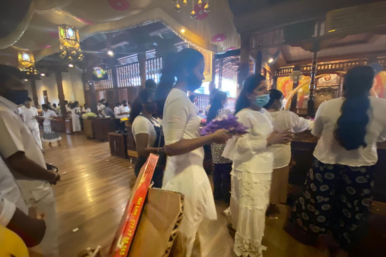 Colombo: 4-Day Cultural Triangle Tour with Wilpattu Safari