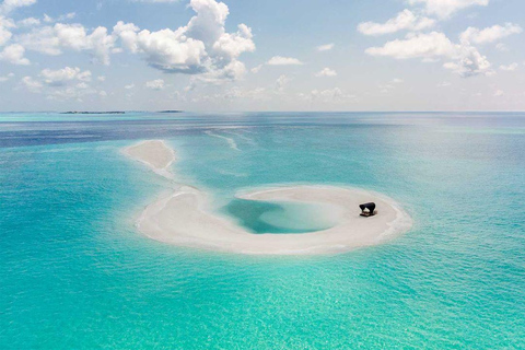 Zanzibar: Tropical Spice Garden Tour, Boat, & Lunch Break