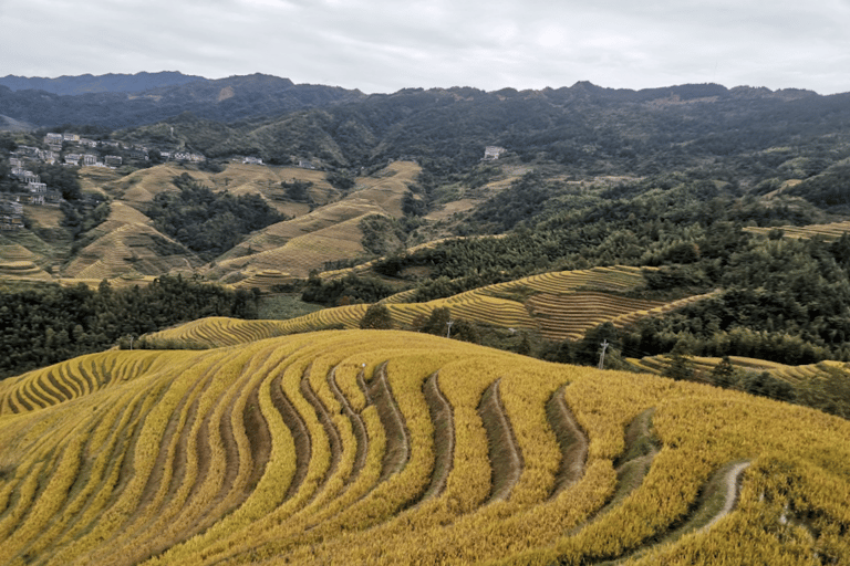 Guilin: Longji Dazhai Rice Terraces Day Tour with Cable Car