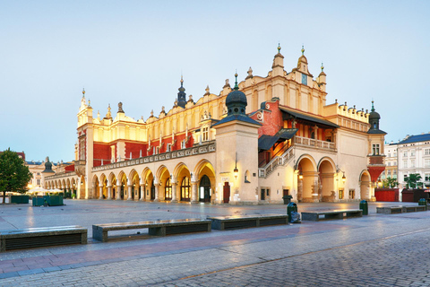 Krakow Old Town and National Museum Private Guided Tour 2-hour: Old Town Tour & Tickets to National Museum