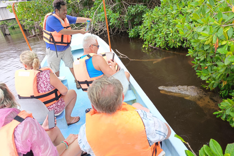 Yucatán: Bootstour durch das Biosphärenreservat Río Lagartos