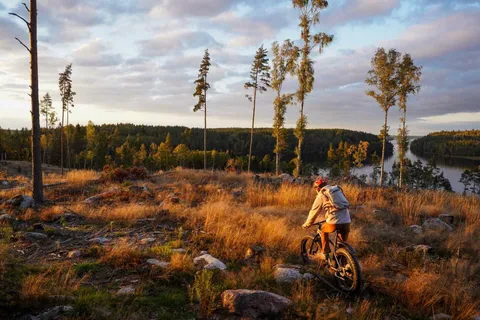Stockholm på Fat Bike: Fatbike skogsäventyr med lunch och bastu