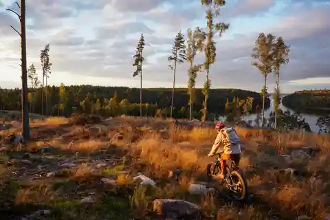 Sztokholm: Fat Bike Forest Adventure z lunchem i sauną