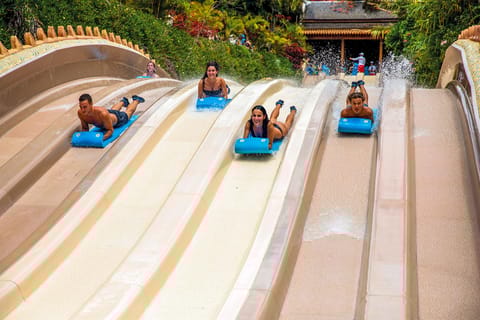 Siam Park Tenerife entry tickets with slides and wave pool