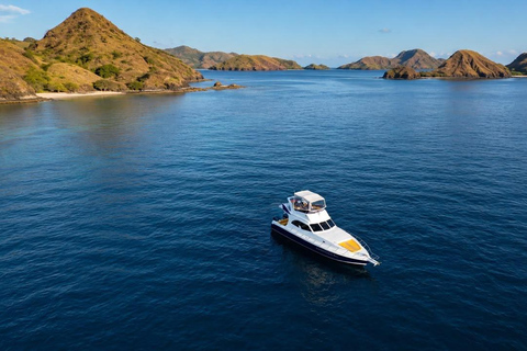 From Labuan Bajo: Komodo Islands Full-Day Boat Trip