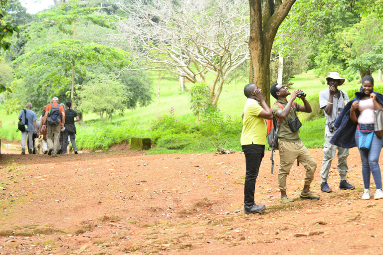 Uganda: Explore Entebbe on Foot Explore Entebbe