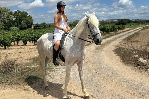 Alicante: przejażdżka konna po górach Maigmó, piknik i transferAlicante: Wycieczka konna na górę Maigmó, piknik i transfer