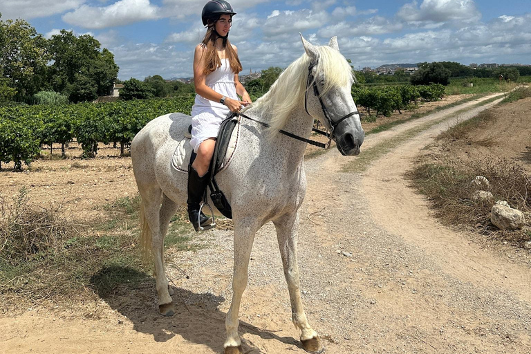 Alicante: przejażdżka konna po górach Maigmó, piknik i transferAlicante: Wycieczka konna na górę Maigmó, piknik i transfer