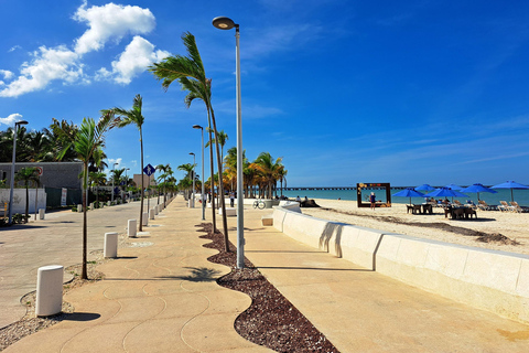 Motul, Hacienda, Xcambo, Pink Salt Mine & Progreso Day Trip