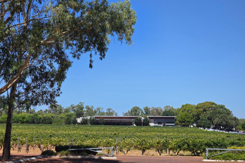 Perth: Caversham Wildlife Park & Swan Valley Tour