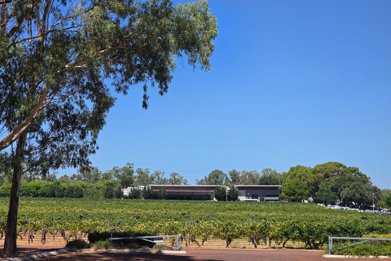 Perth: Caversham Wildlife Park & Swan Valley Tour
