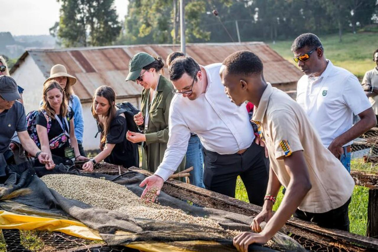 Nairobi: Fairview Coffee Estate Tour & Tasting