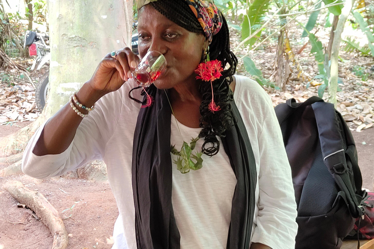 Zanzibar: Organic Spice Farm Tour With Fruit Tasting