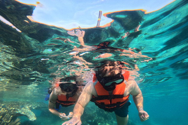 Isla Mujeres: Snorkel tour in 3 spots, Underwater Museum, and reefs! Isla Mujeres: Snorkeling tour in 3 spots, Underwater Museum and reefs!