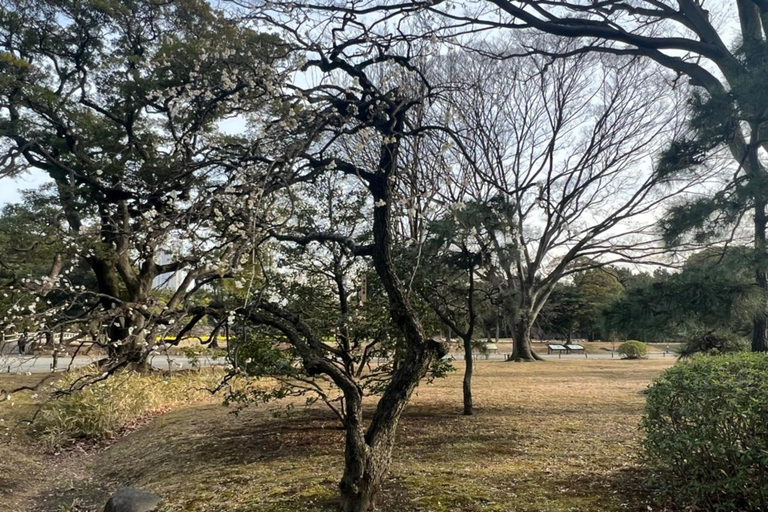 Tóquio : Excursão guiada a pé pelo jardim japonês em Hama RikyuExcursão a pé guiada nos Jardins de Hama Rikyu