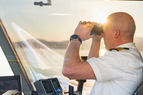 Tromsø: Summer Arctic Light Cruise with a Guide Tromsø: Midnight Sun or Sunset Cruise with a Guide