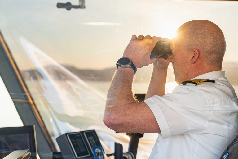 Tromsø: Summer Arctic Light Cruise with a Guide Tromsø: Midnight Sun or Sunset Cruise with a Guide