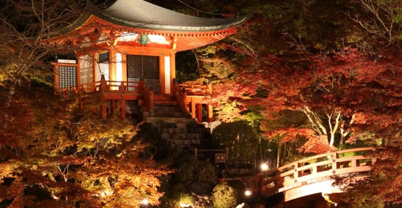 Kyoto: Daigoji Temple Autumn Night Viewing Ticket
