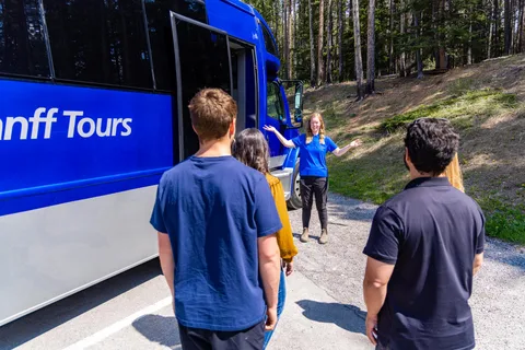 Banff: excursão guiada à noite pelo Safari da vida selvagem