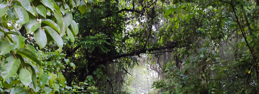 Excursion sur l'île de Divar avec un habitant de l'île