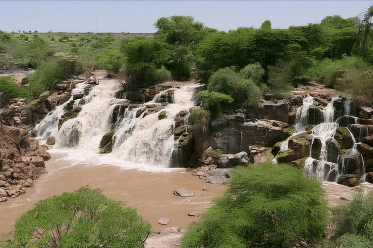 Von Addis Abeba: Tagestour zum Awash-Nationalpark