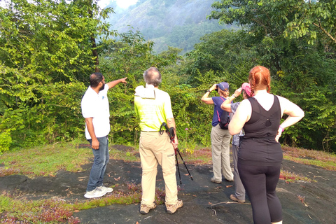 Tour in bici di 11 giorni alla scoperta delle spezie del Kerala