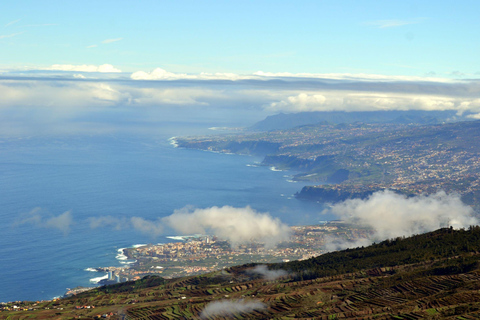 Adeje: Volo panoramico in elicottero a TenerifeVolo di 30 minuti su Isla Baja