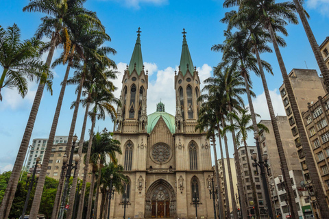 Shore Excursion from Port of Santos: São Paulo Day Tour