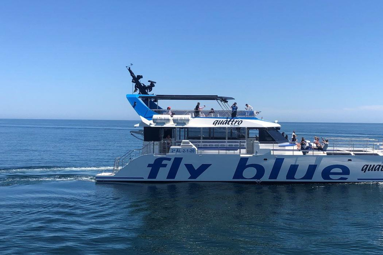 Málaga: 1.5 Hour Daytime Cruise with Swimming Stop 1.5 Hour Daytime Cruise with Swimming Stop