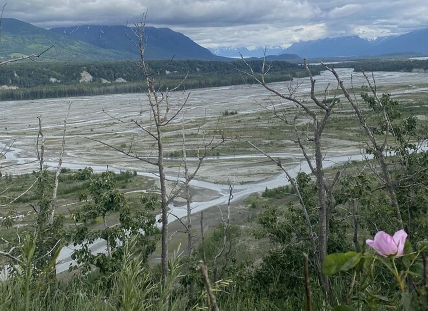 Hatcher Pass og rensdyr-eventyr – afhentning ved ankerplads