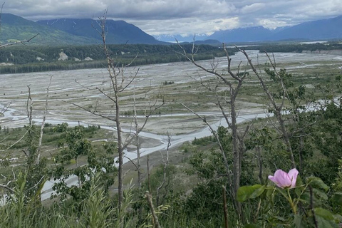 Hatcher Pass & Reindeer Adventure Tour – Anchorage Pickup