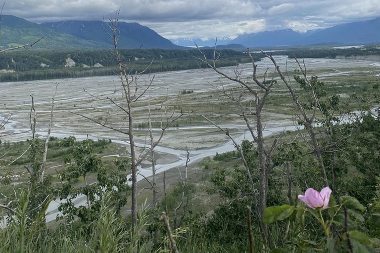 Hatcher Pass & Reindeer Adventure Tour – Anchorage Pickup