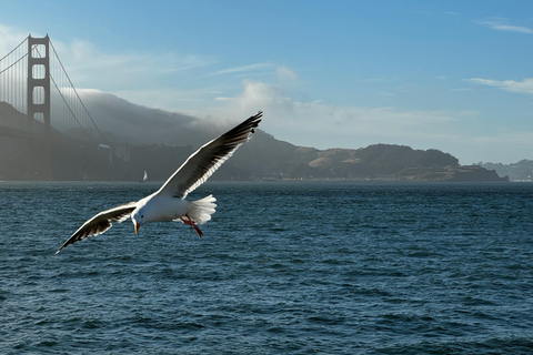 San Francisco : Alcatraz, Ferry &amp; Bus 2 jours Hop-On Hop-Off