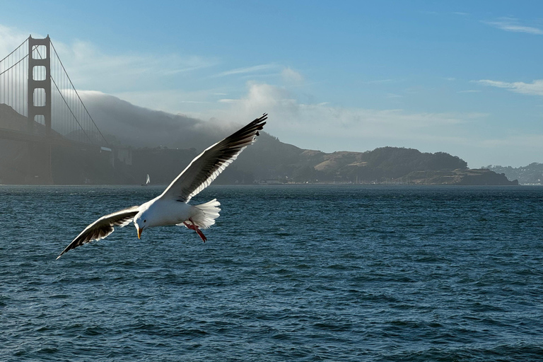 San Francisco : Alcatraz, Ferry &amp; Bus 2 jours Hop-On Hop-Off