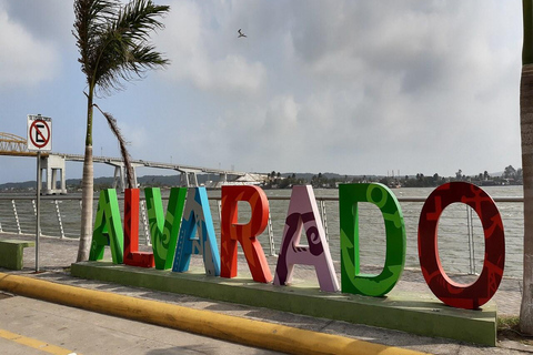 Veracruz: un viaggio di colori, sapori e tradizioni