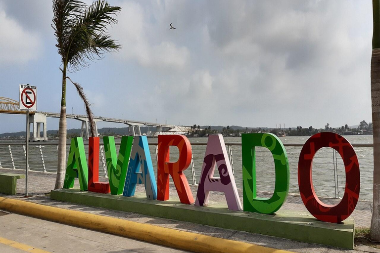 Veracruz: un viaggio di colori, sapori e tradizioni