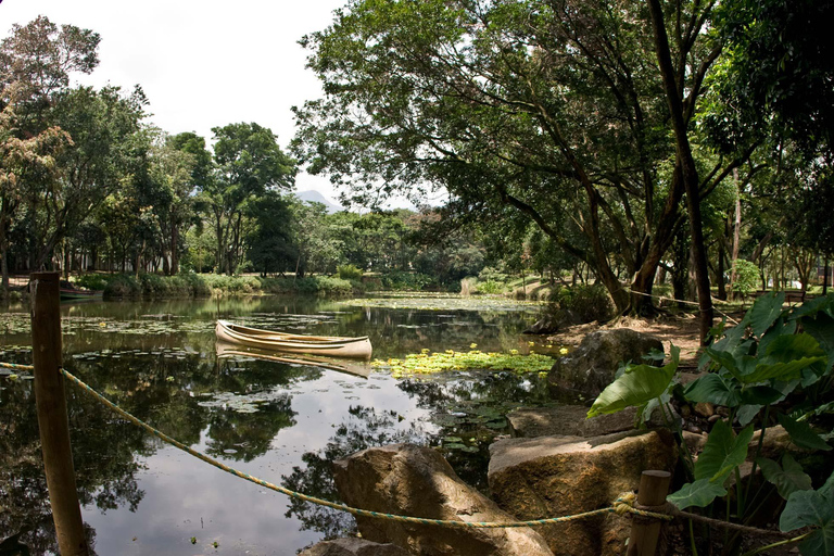 Medellín natural: jardim botânico, parque Arví, monte El volador e almoço.