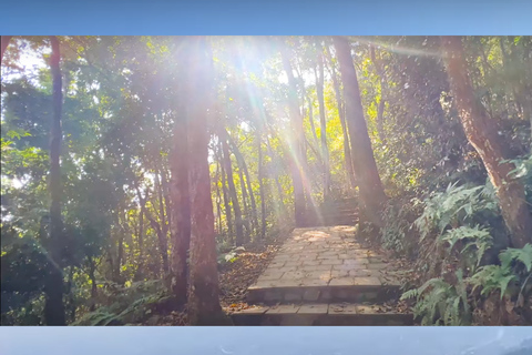 Katmandou : Jamacho Promenade d&#039;une journée dans la nature avec guide