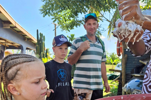 Sigatoka: crucero por el río y visita al valle Salad BowlSigatoka: crucero por el río y excursión al Valle de las Ensaladeras