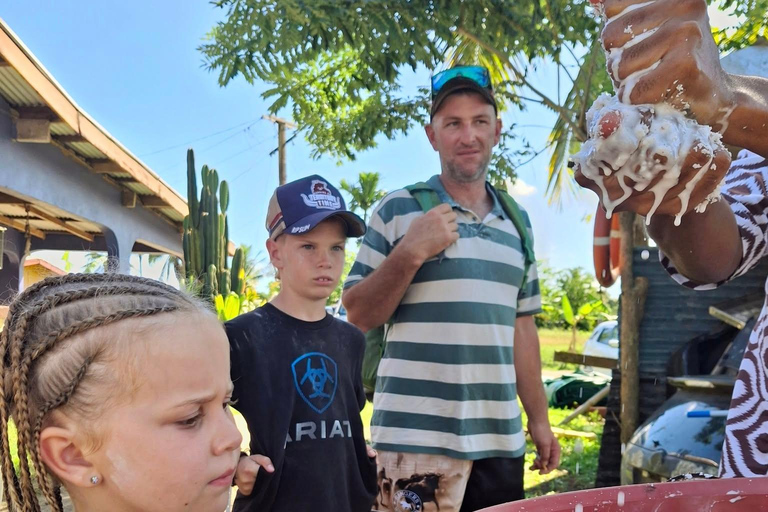 Sigatoka: crucero por el río y visita al valle Salad BowlSigatoka: crucero por el río y excursión al Valle de las Ensaladeras