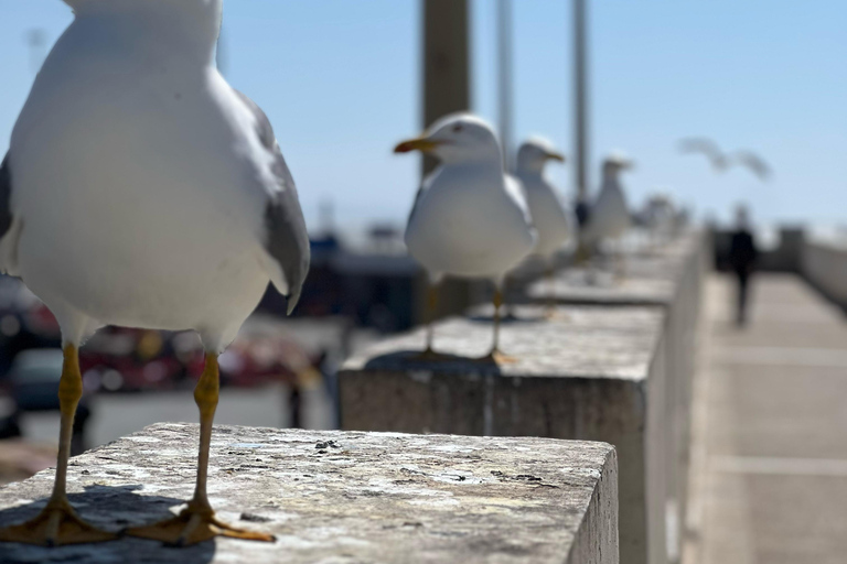 From Marrakech: Essaouira Day Trip with Beach & Medina Essaouira Small Group Day Trip