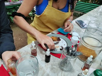 La Fortuna, visite à pied du jardin avec chocolat et café - Housity