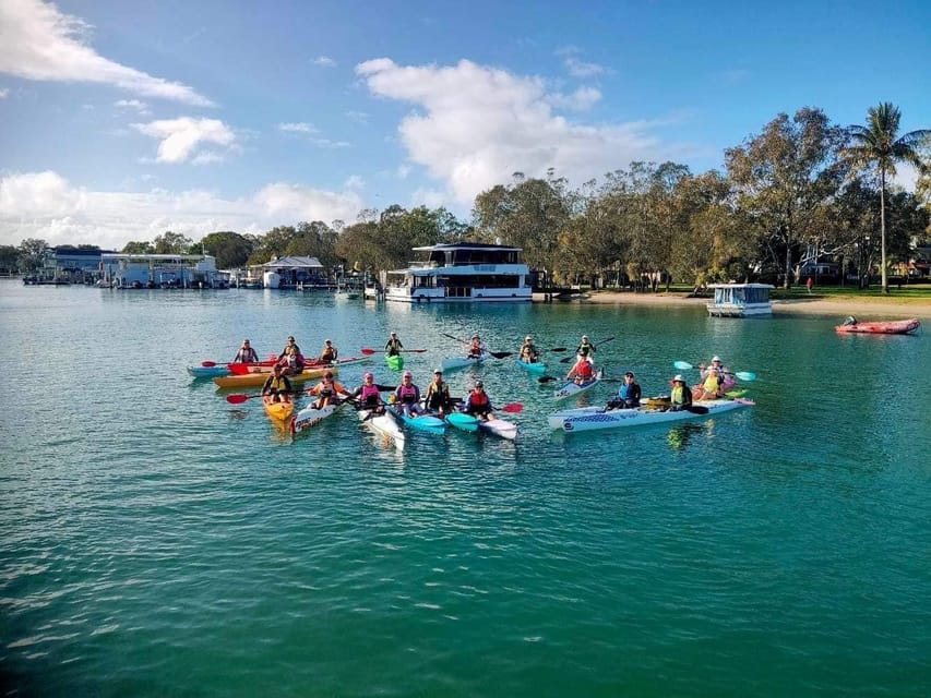 Noosa River Mangroves and Mansions Guided Kayak Tour GetYourGuide