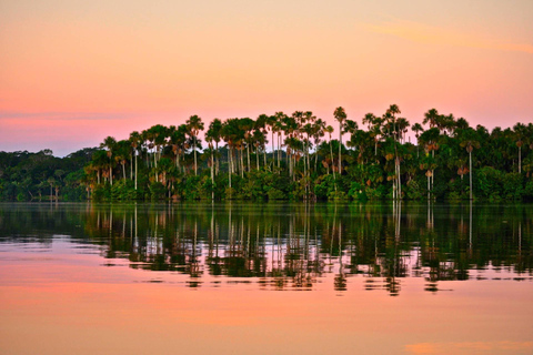 Puerto Maldonado: Sandoval Lake and Tambopata Reserve Tour