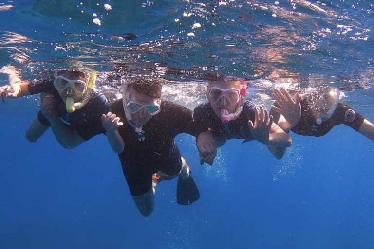 Tenerife: Descubrir la Bahía de las Tortugas haciendo snorkel con vídeoExcursión privada de snorkel en Bahía Tortuga con fotógrafo