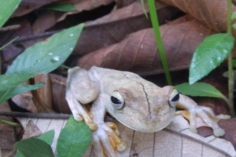 La Gamba: Nationalpark Piedras Blancas