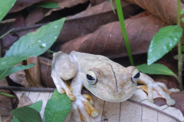 La Gamba: Nationalpark Piedras Blancas