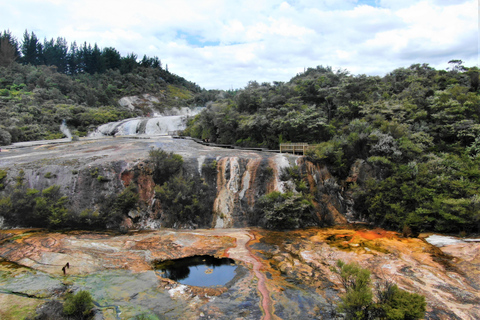 Från Auckland: Waitomo-grottan och Orakei Korako Gruppdagstur